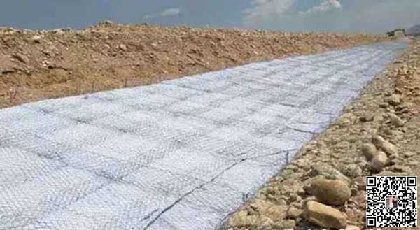 雙隔板雷諾護墊