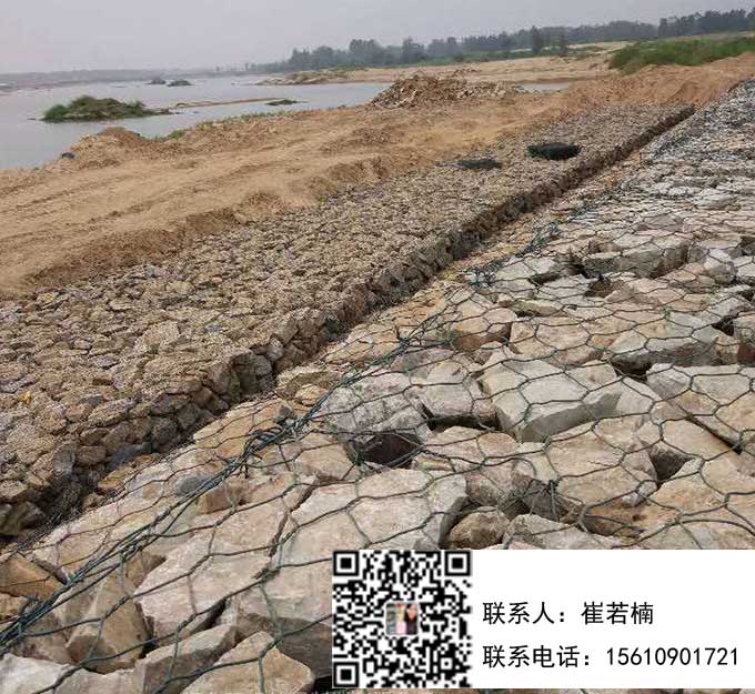 鍍高爾凡雷諾護墊